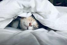 Melbourne-sleep-Medi-Share-f6f265ae